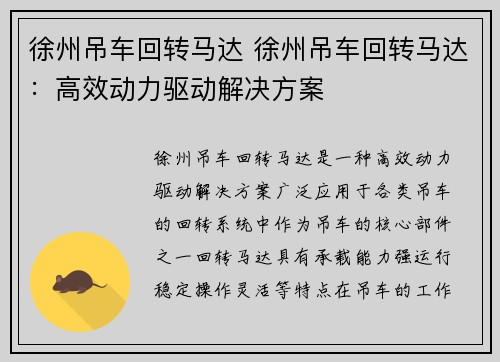 徐州吊车回转马达 徐州吊车回转马达：高效动力驱动解决方案